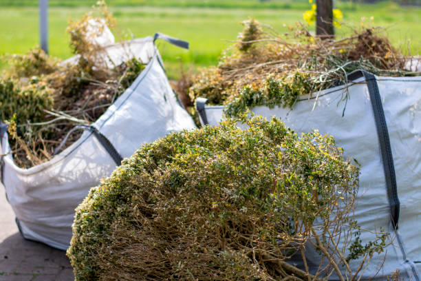 Best Professional Junk Removal  in , HI